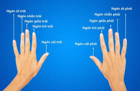 Mỗi ngón tay mang những ý nghĩa riêng 